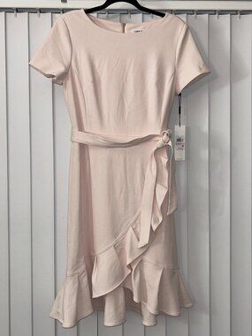 Women's Calvin Klein Pale Pink Wrap Dress Size 10 (New with Tags)